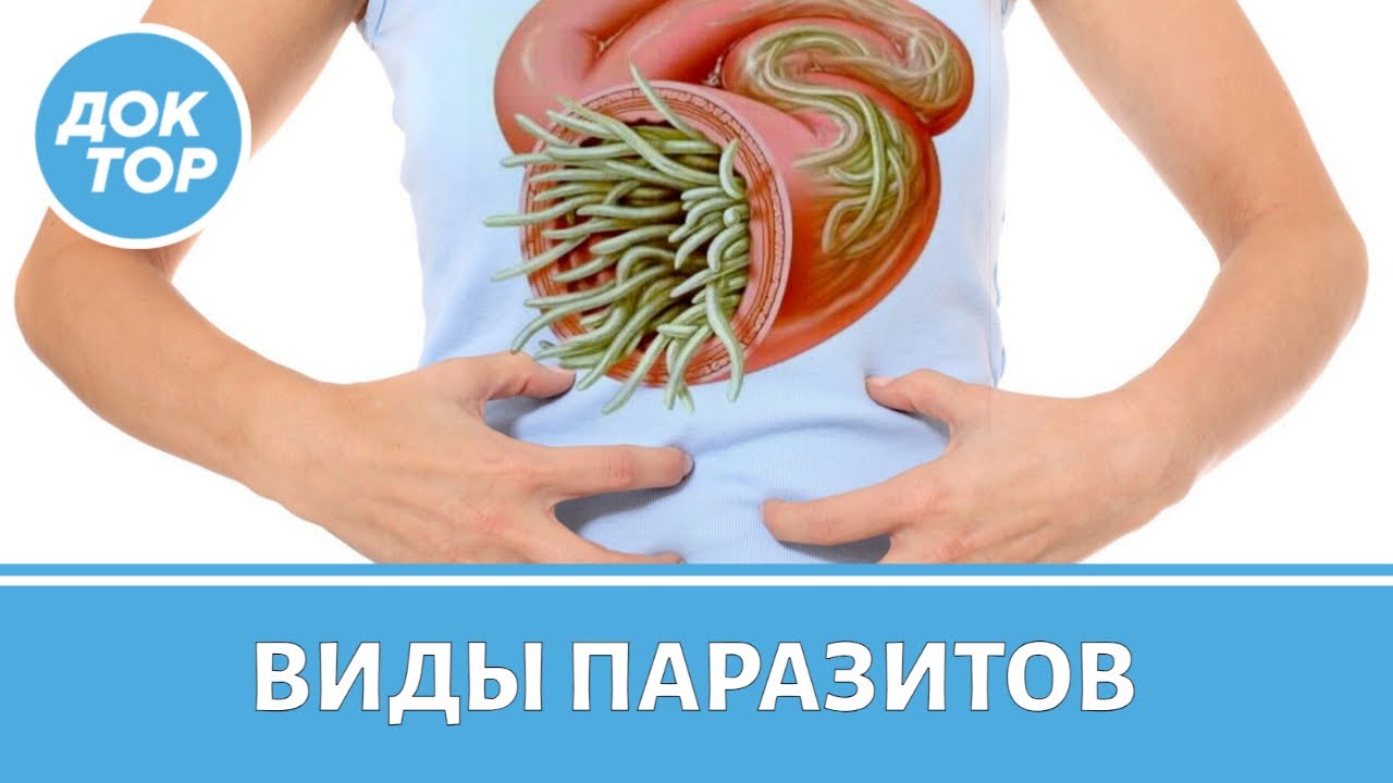 Существуют ли в организме полезные паразиты