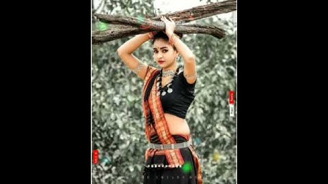 NEW AADIVASI GAMIT SONG STATUS 2020//NEW TIMLI SONG STATUS 2020//PRAVIN BARELA