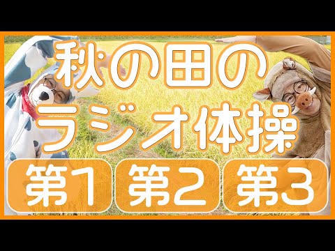 No 45 Radio Exercises No 1 No 2 No 3 Exercise For 10 Minutes Every Day To Eliminate Lack 