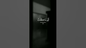 قال اني عبد الله اتاني الكتاب وجعلني نبيا | سورة مريم | شريف مصطفى