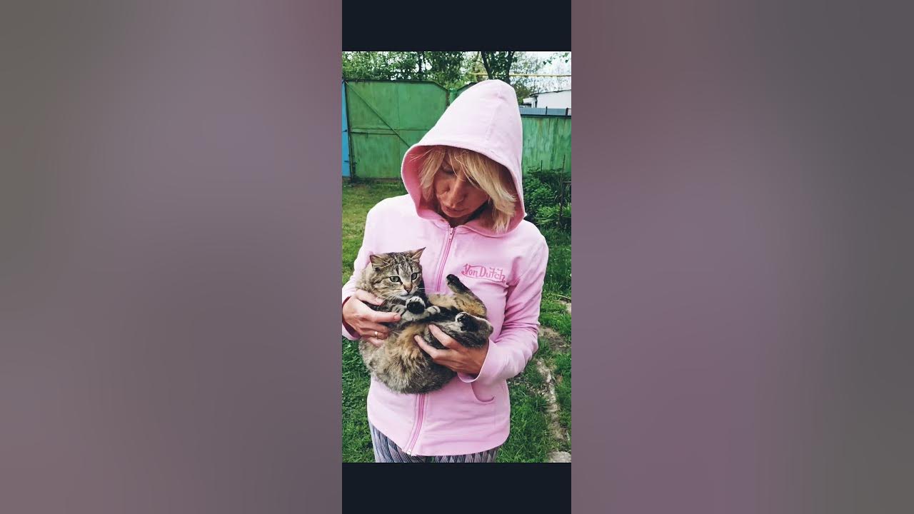 смешніе котики - YouTube