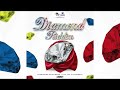Shurwayne Winchester Million Woman Diamond Riddim Official Audio mp3