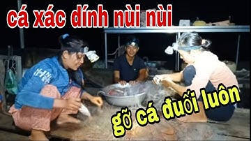 Cá Xác Dính kẹo Lưới Là Có Thật , kéo Lưới Lên Bè Cùng Nhau Gỡ Cá # SĂN BẮT ĐỒNG THÁP #
