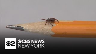 Rep. Josh Gottheimer introduces legislation to track Lyme disease hotspots
