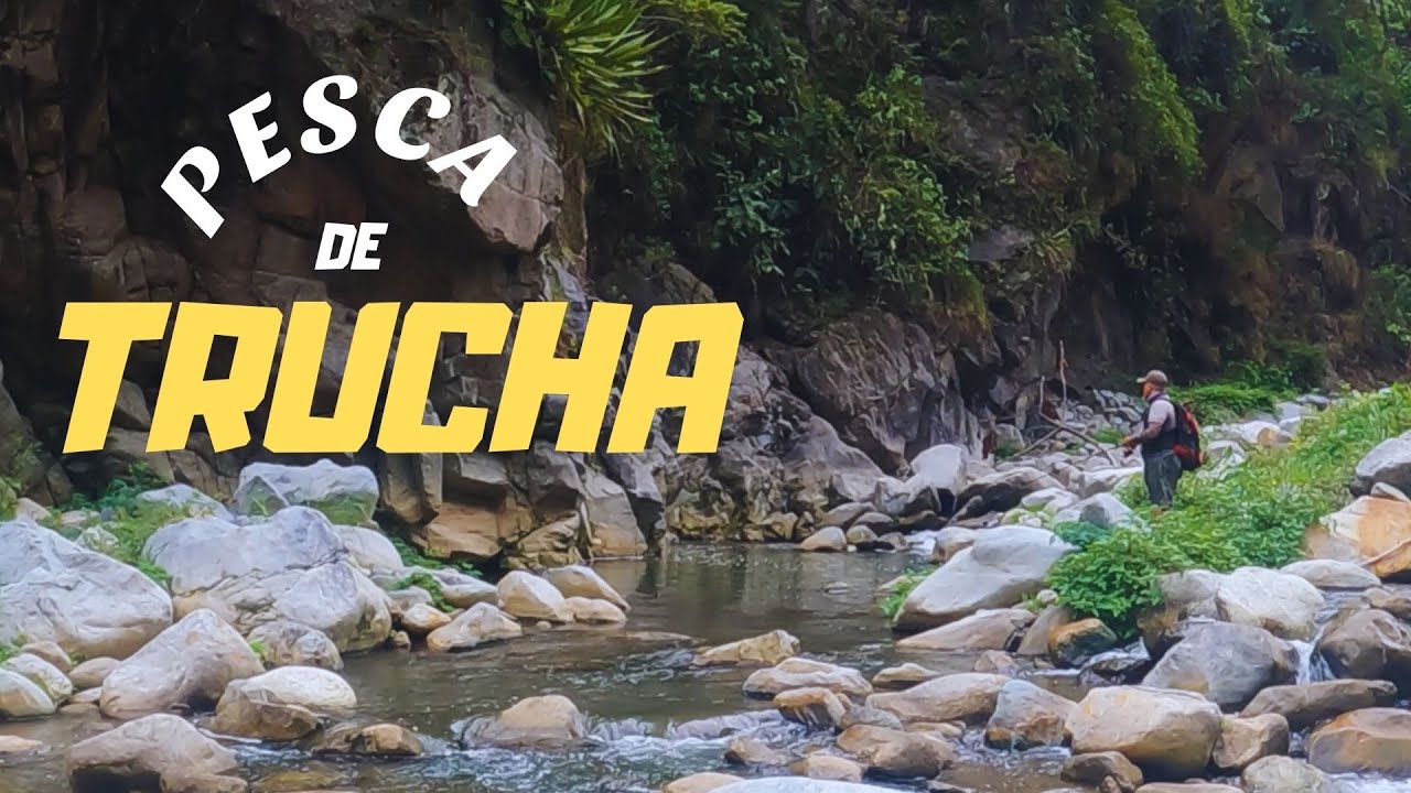 Pescando Truchas en Rio !! JUNIN PERU _TROUT FISHING