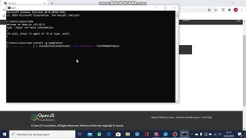 02 npm ve angularcli kurulum