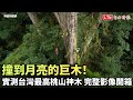 撞到月亮的巨木！實測台灣最高樹桃山神木 完整影像開箱(農委會林試所提供)