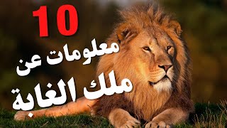 10معلومات لم تكن تعرفها عن الاسد ؟