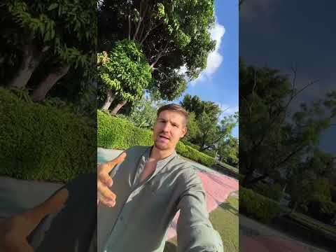 ПОТЕРЯ ВЕСА, НА РАСТИТЕЛЬНОМ ПИТАНИИ?! 😯