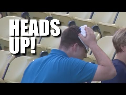 Line Drive Homer Nails Fan in the Head