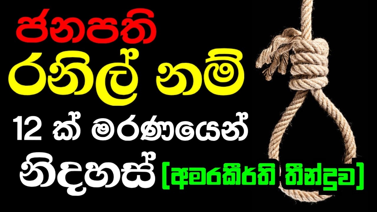 අමරකීර්ති නඩුතීන්දුව ගෝටා වෙනුවට රනිල් හිටියානම් 12 ක් මරණයෙන් නිදහස් | POLI CHAT | #episode220