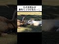 うさぎ同士が鼻をくっつけると…