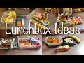 What’s in my Husbands Lunchbox?!| 5 Lunchbox Ideas