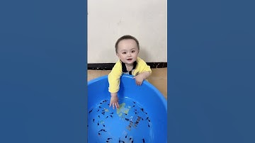 Cậu bé tí hon chơi với những con cá kì lạ