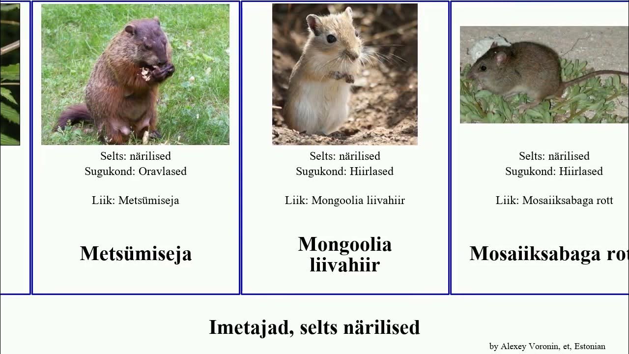 Vudmenning Rossiyadagi kastingi haqida rus porno videolarini tomosha qiling - u shunchaki mabuda.