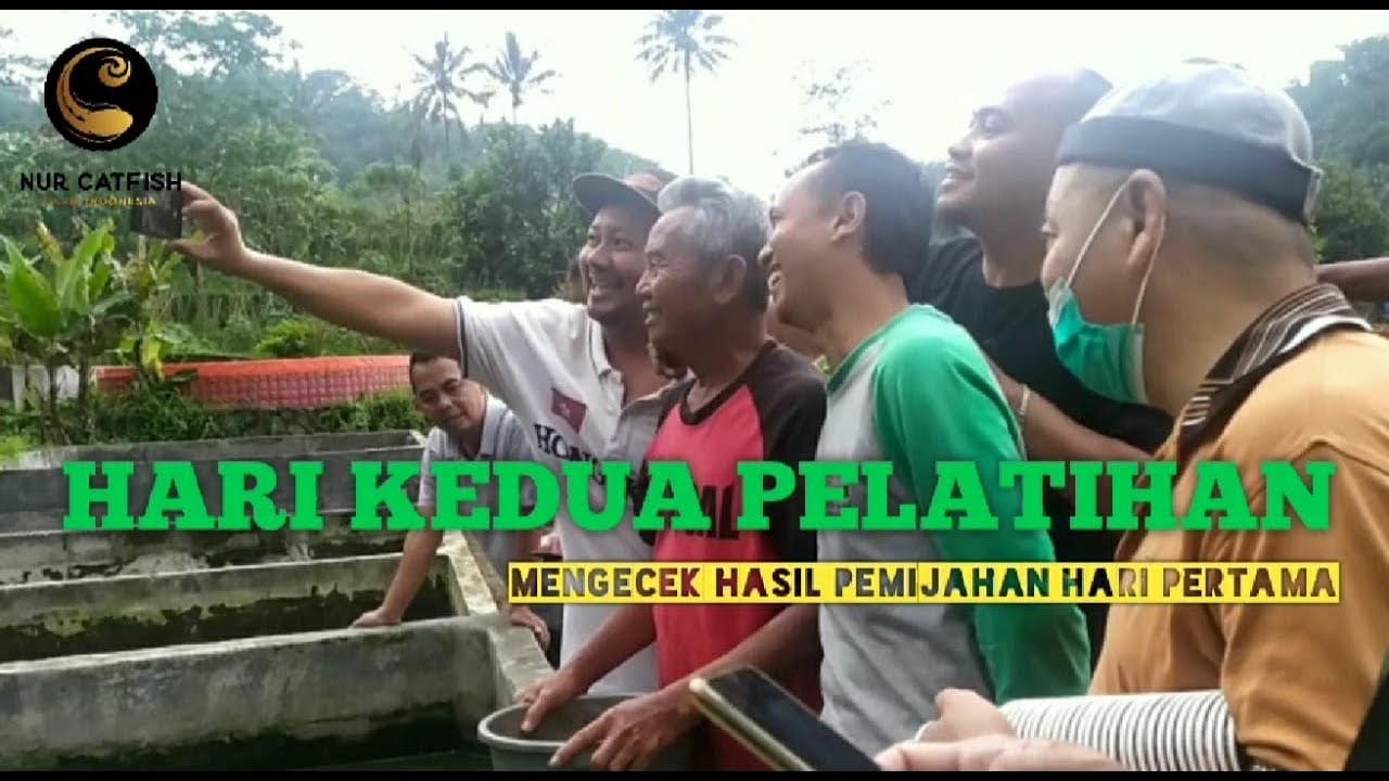 Hari Ke 2 Pelatihan Budidaya Lele Organik Abah Nasrudin