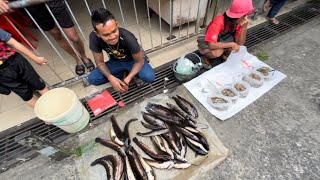 Download Lagu Awal Pagi Cari Lauk Kampung Di Tamu Pagi Minggu Sri Aman, Ternyatanya Jumpa Apa Yg Di Inginkan MP3