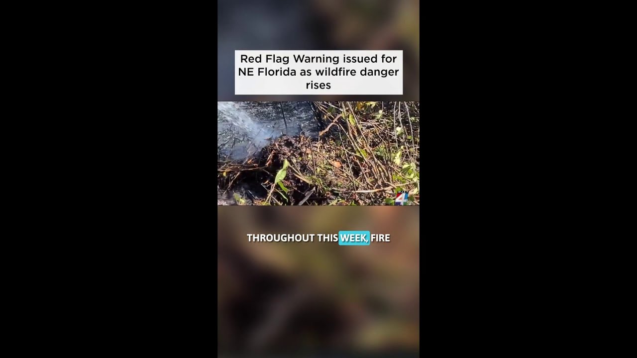 Red Flag Warning issued for Northeast Florida as wildfire danger rises ...
