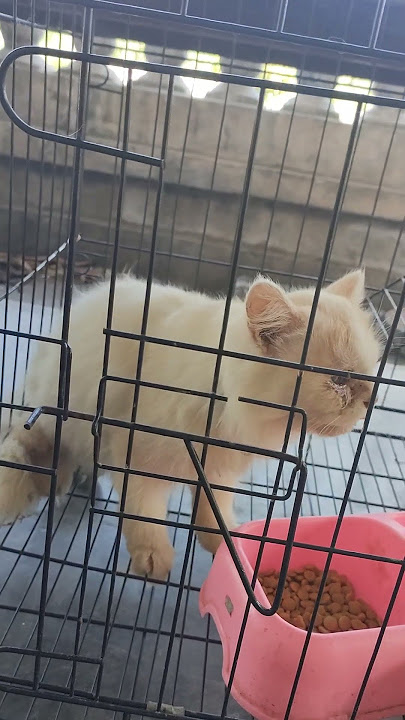 14_06_2023 rip Ranty