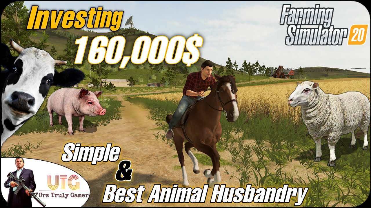 Simple and Best Animal Husbandry Attractive Animals Farming
