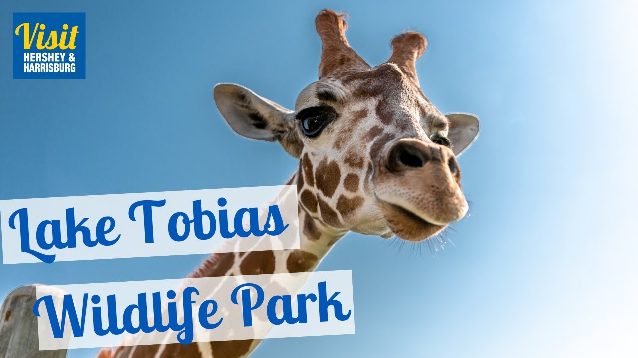 Lake Tobias Wildlife Park YouTube