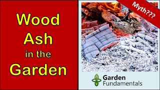 Wood Ash Fertilizer is NOT Always Good for the Garden 🌋💐💣 Learn When to Use it