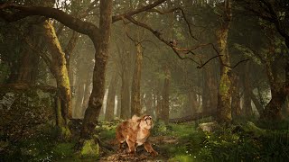 Ancient sabretooth.