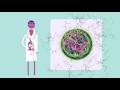 Systems Biology: A Short Overview