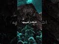 #اكسبلور #النظافه #دويتو