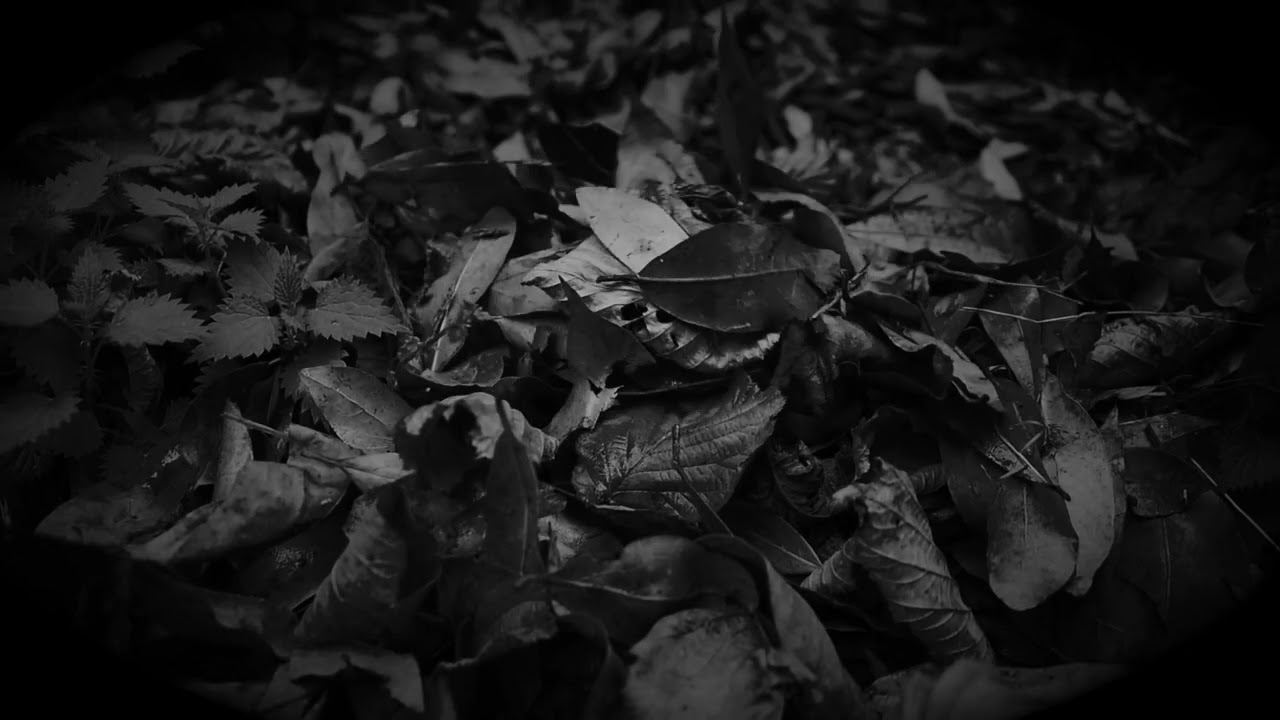 GAU BELTZA 2022 - BELDURREZKO IBILBIDEA