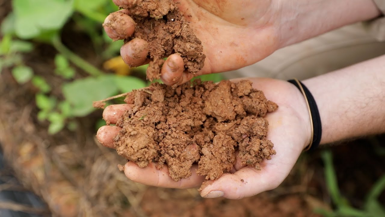 Get schooled virtual field trips soil in charlotte county va youtube
