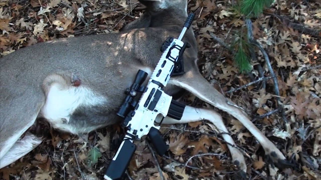 300 blackout deer hunt