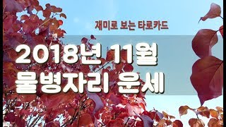 [호수쌤타로]2018년 11월 물병자리 타로카드운세/별자리운세