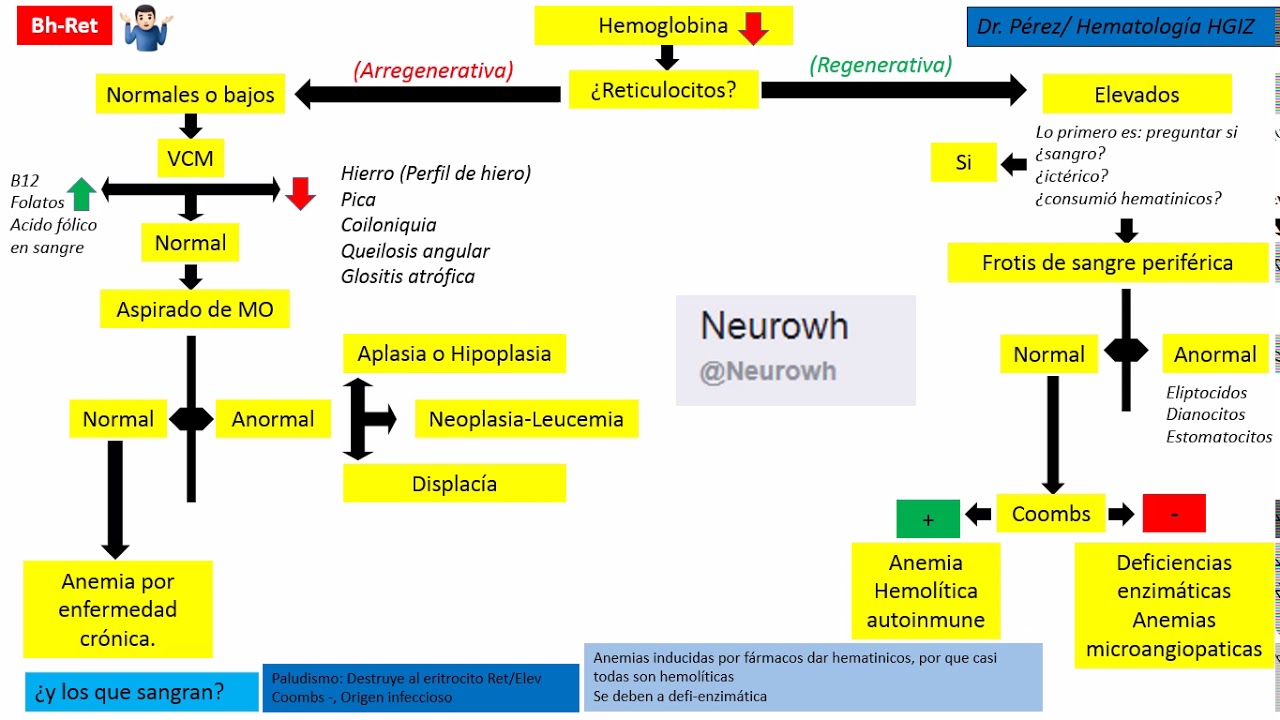 Anemias (Esquema fácil y sencillo). - YouTube