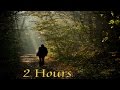2 Hours Calming Sounds for Relaxing in Nature - Beautiful Music for Peace-Calming-Meditation