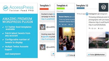 AccessPress Twitter Feed Pro | Codecanyon Scripts and Snippets