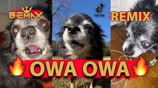 Pudgy - OWA OWA (Bemax Remix)