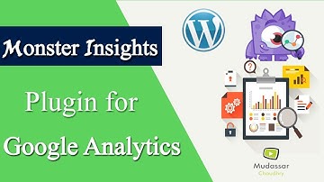 How to Use the MonsterInsights Plugin for Google Analytics