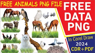 Free Animals PNG Data | Free PNG Data | Animal PNG
