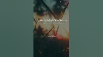 سورة الحجر الآية ٢ - ٣ القارئ هزاع البلوشي