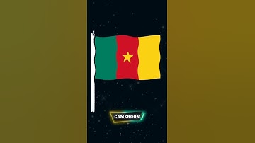 CAMEROON - National flag.