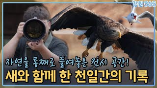 이 정도면 성덕..! 새덕후의 새와 함께 한 천일간의 기록 🦅 / MBC강원영동 240528 방송
