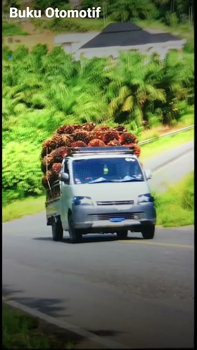 Grandmax full load of palm oil goes up a serious incline