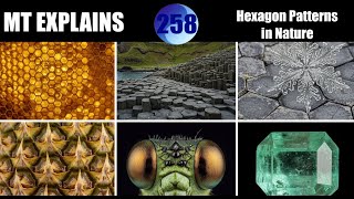 Motion Theory Explains: Hexagon Patterns in Nature