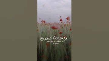 تلاوة خاشعة حازم سيف