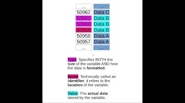 Explanation of Variables and Memory