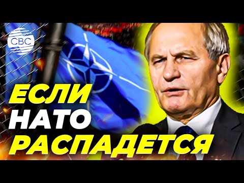 Что будет, если НАТО распадется?