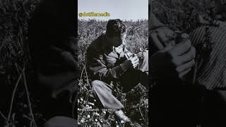 Surprising WWII Photo Discoveries  #military #worldwar2 #history