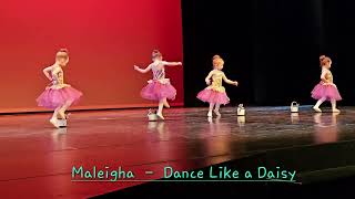 Maleigha  - Dance Like a Daisy