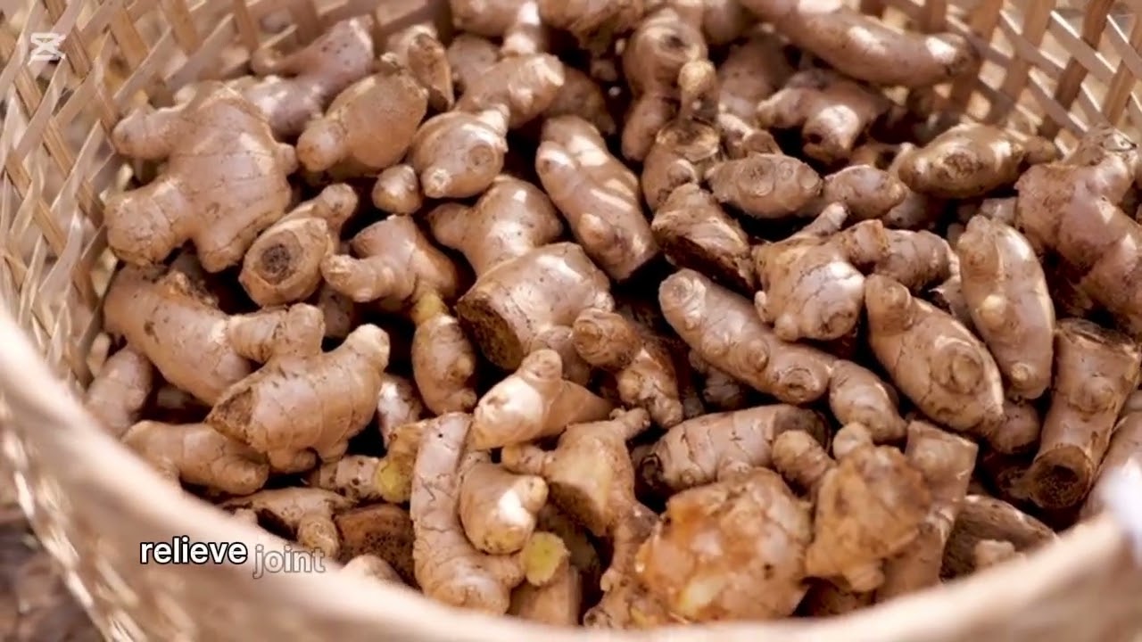 Why You Should Drink Turmeric Latte This Fall | Boost Immunity, Warmth & Wellness Naturally